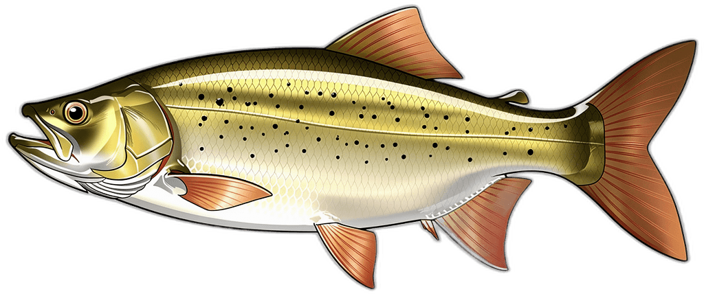 Goldener Dorado