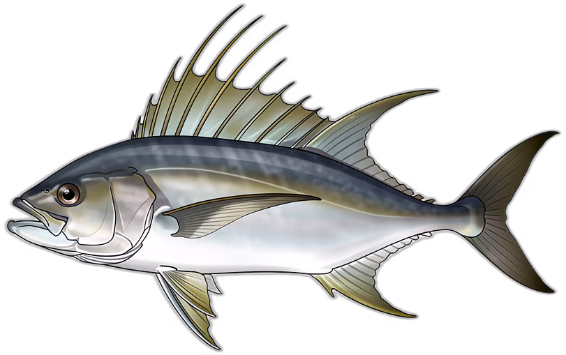 Hahnenfisch