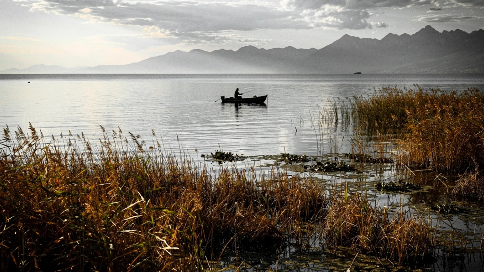 Lago Shkodra