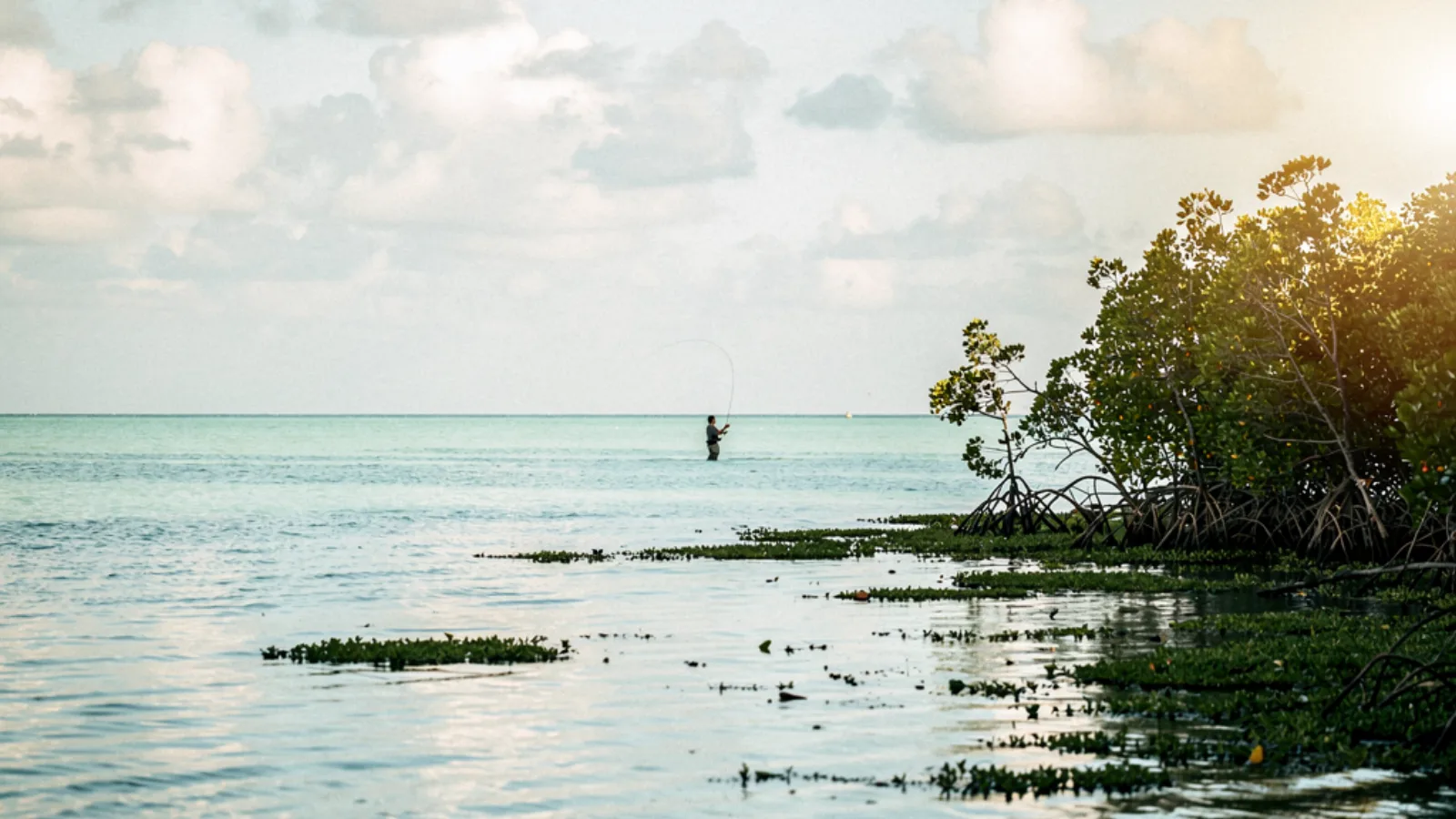 Ambergris Caye
