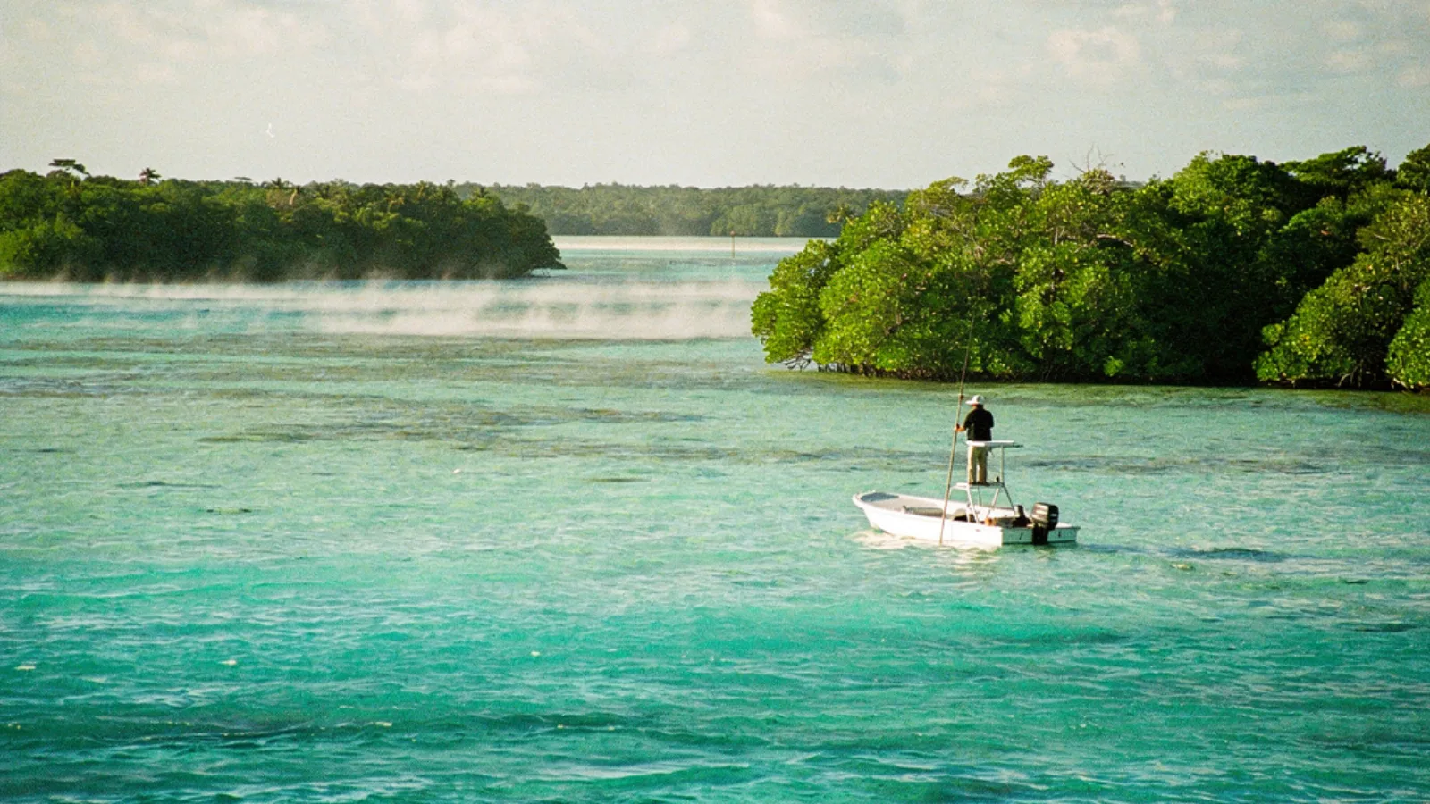 Placencia