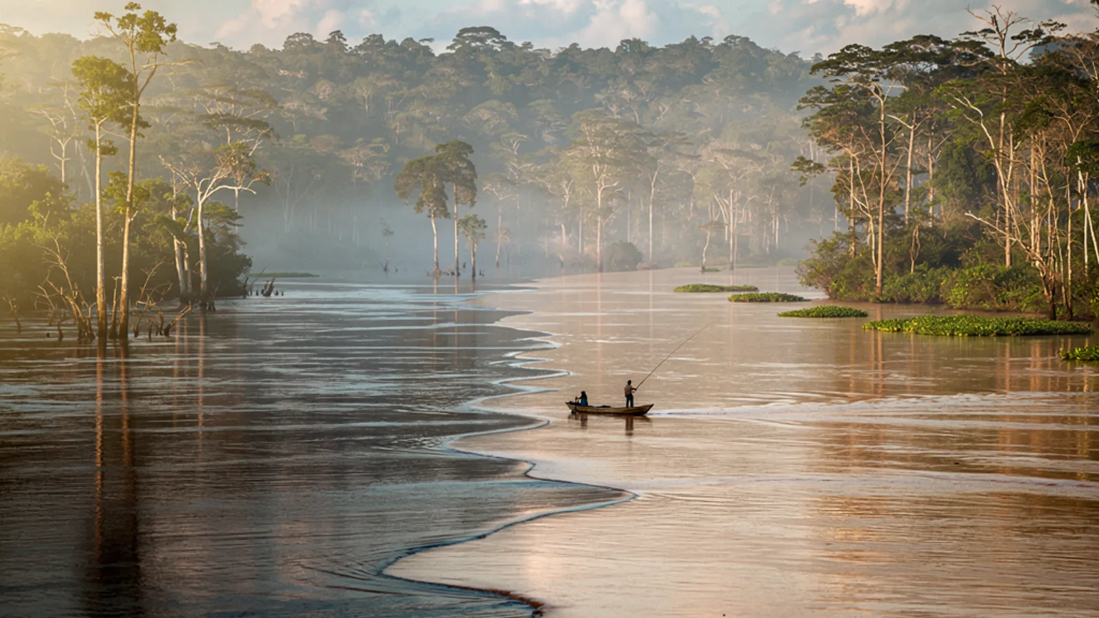 Amazonas y Río Negro