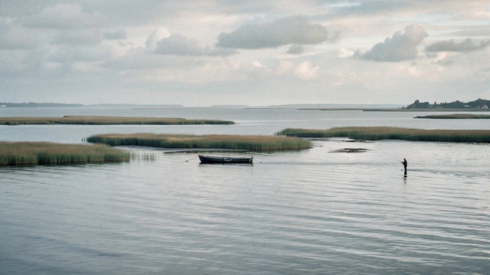 Limfjord