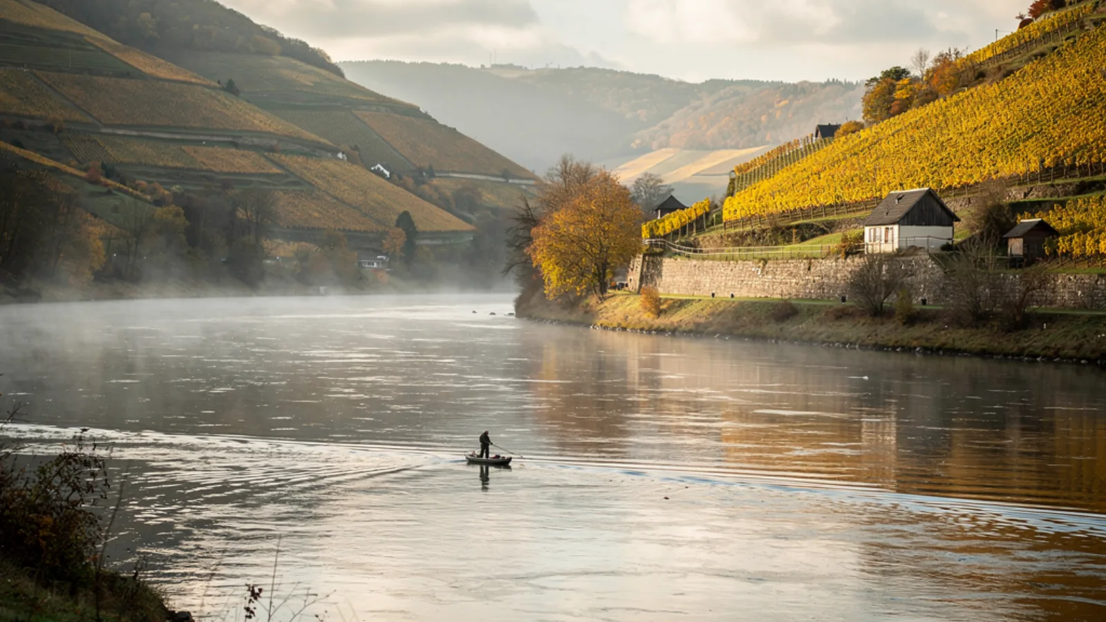 Mosel