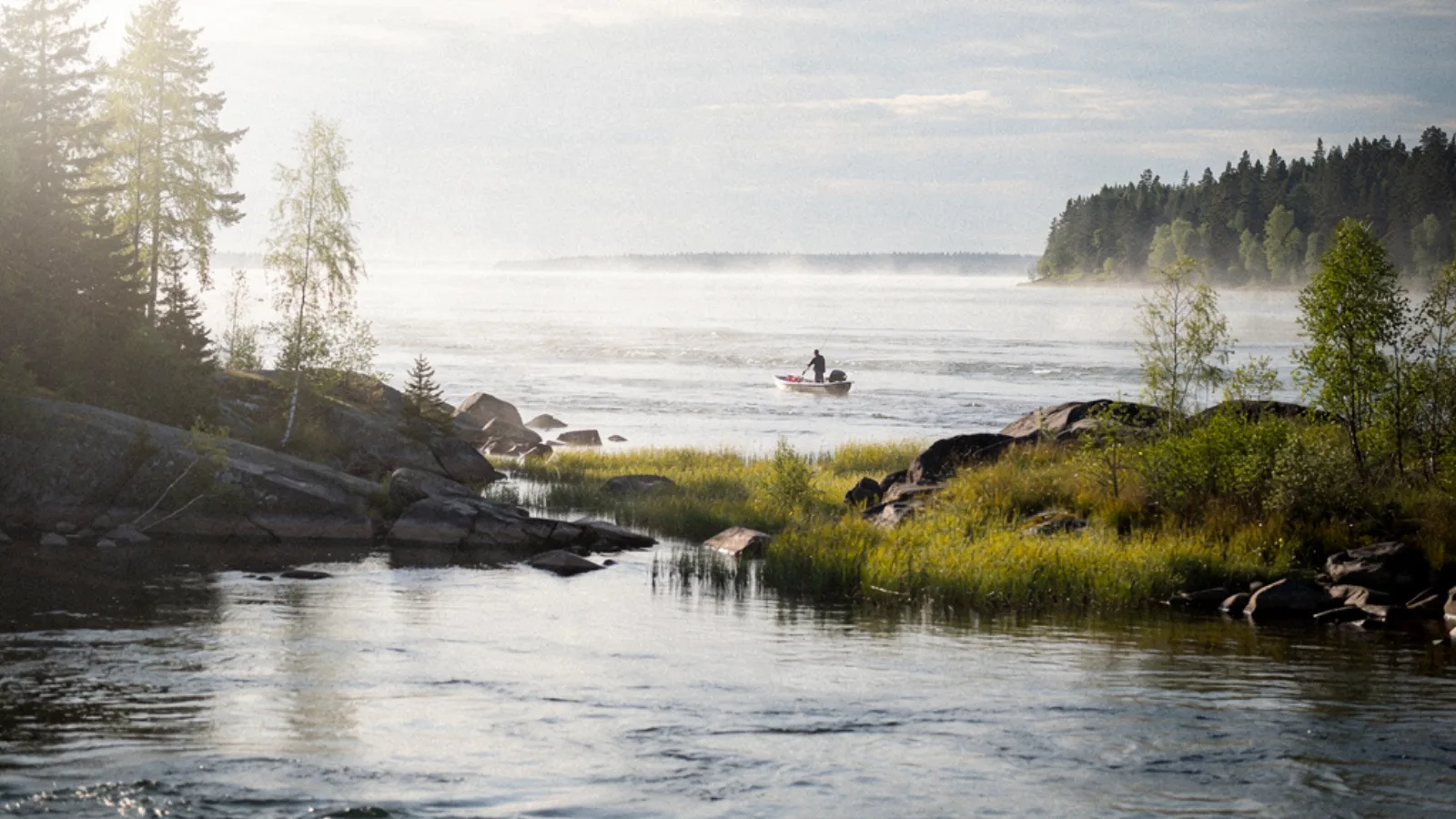 Kotka