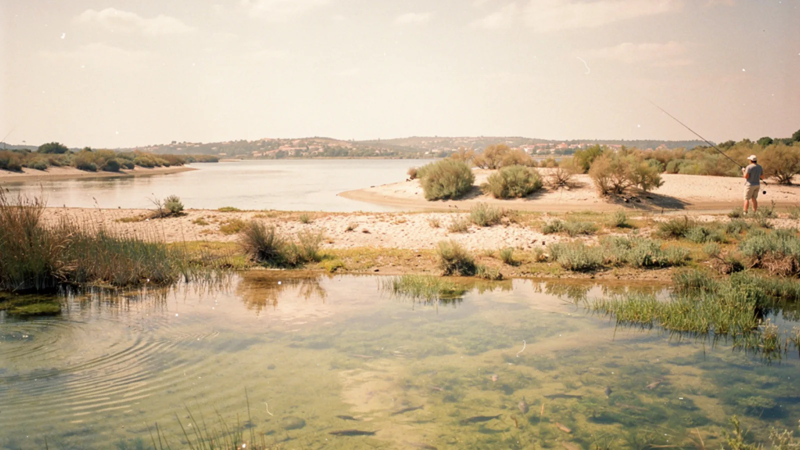 Languedoc