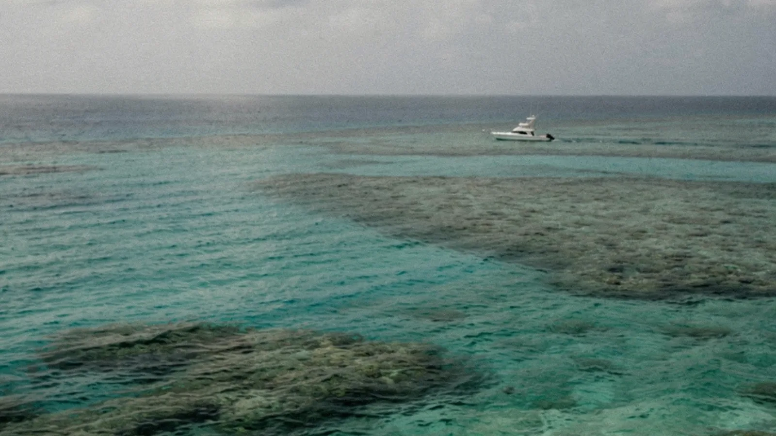 Banana Island