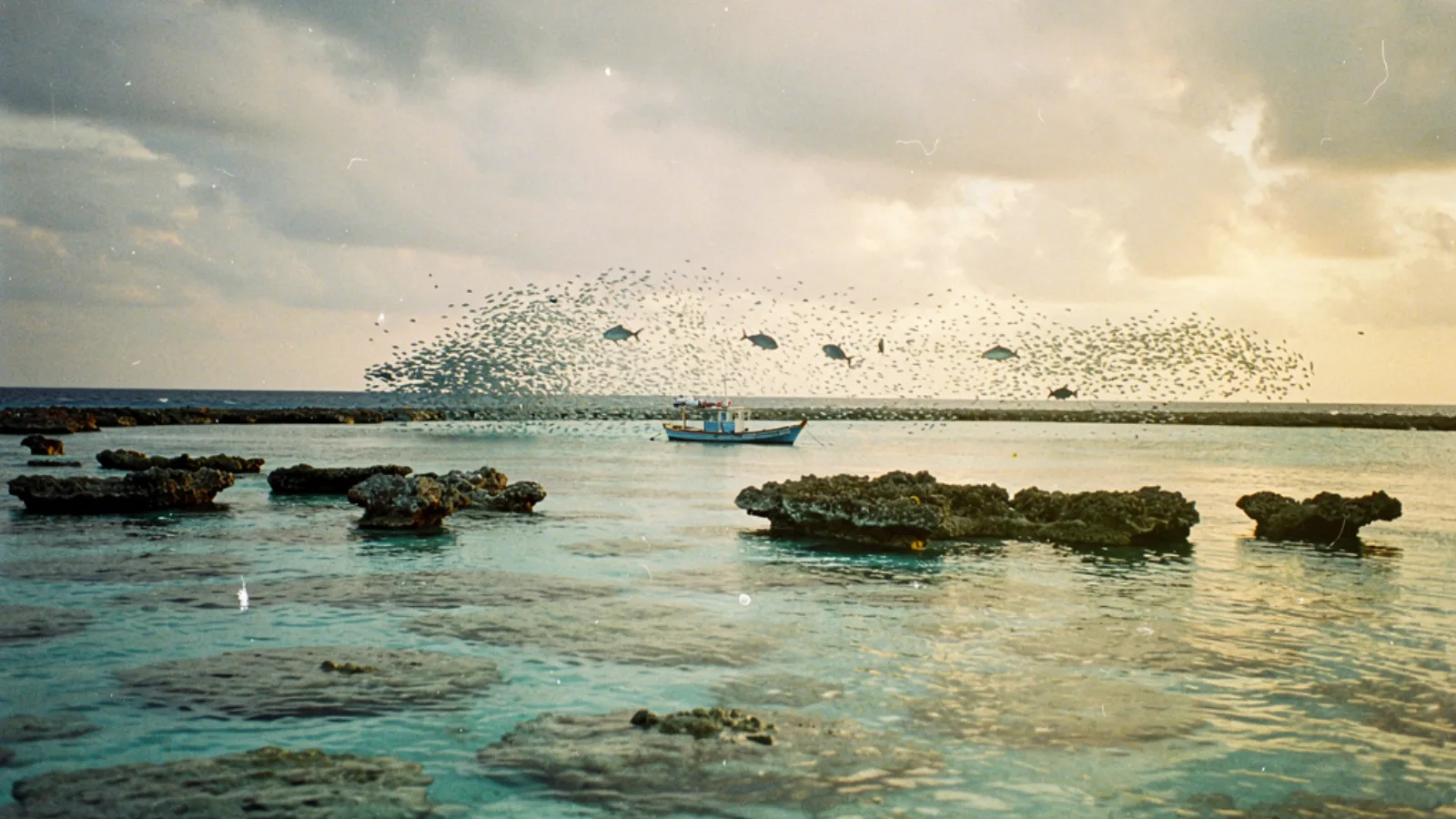 Baa Atoll