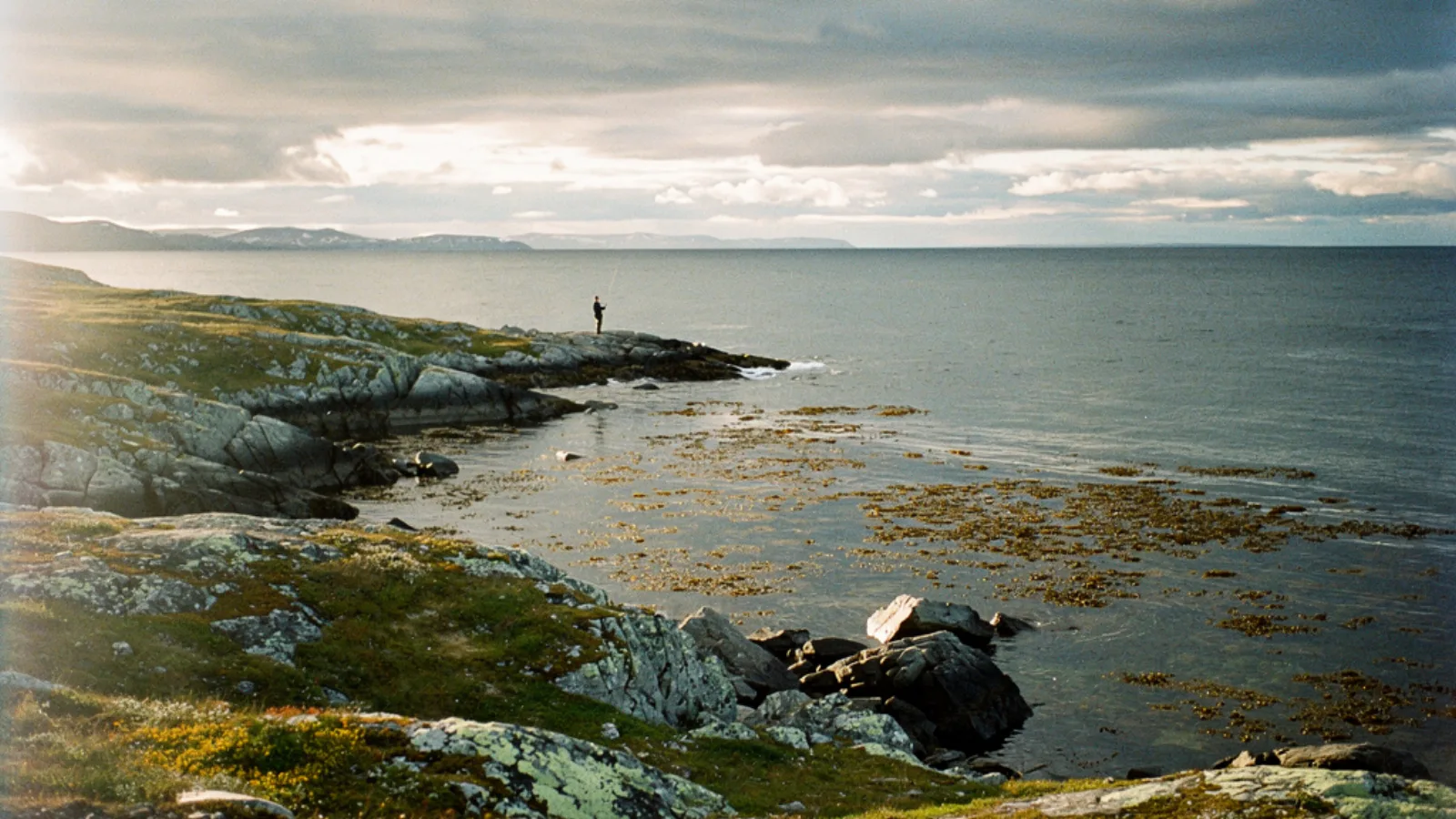 Sørøya