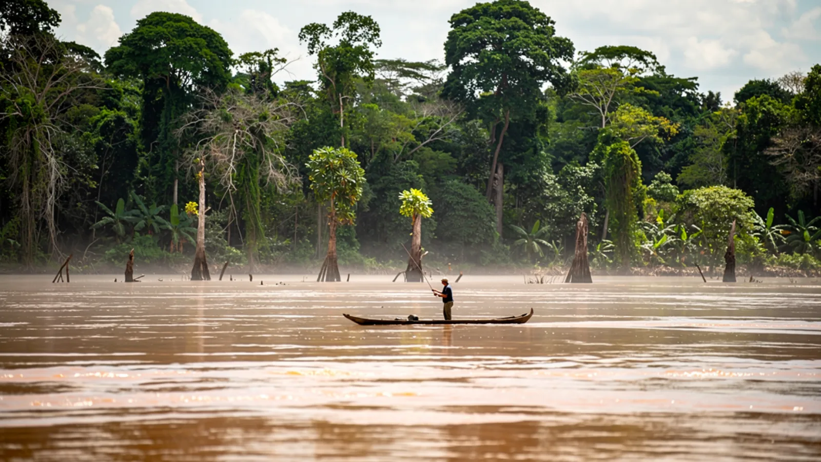 Amazonas près d'Iquitos