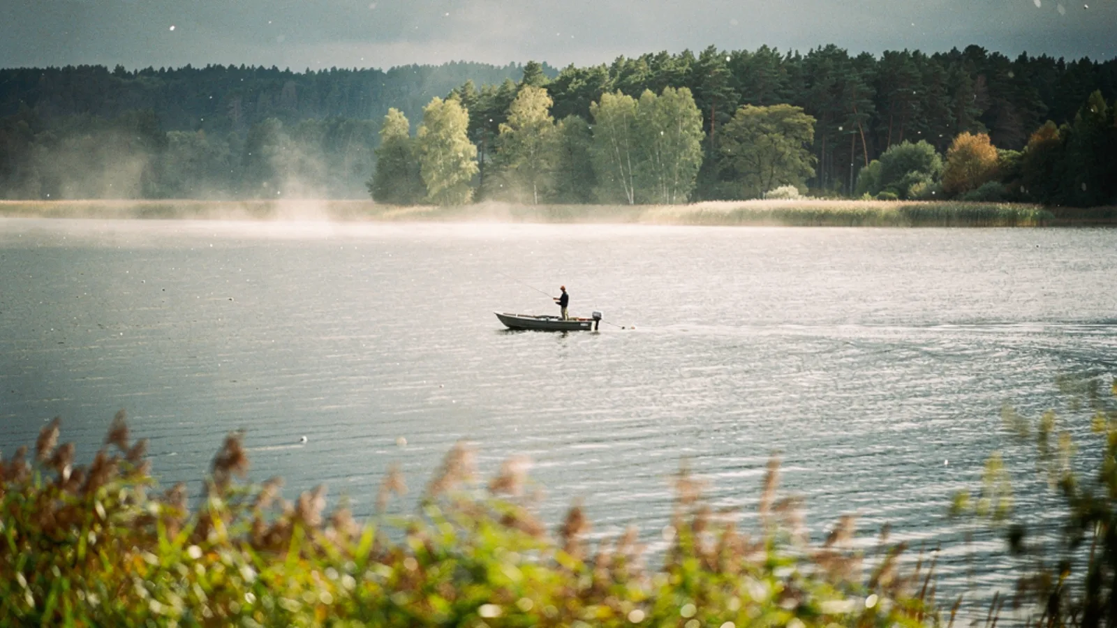 Région des lacs de Mazurie (Śniardwy, Mamry) : Brochet, Sandre, Perche