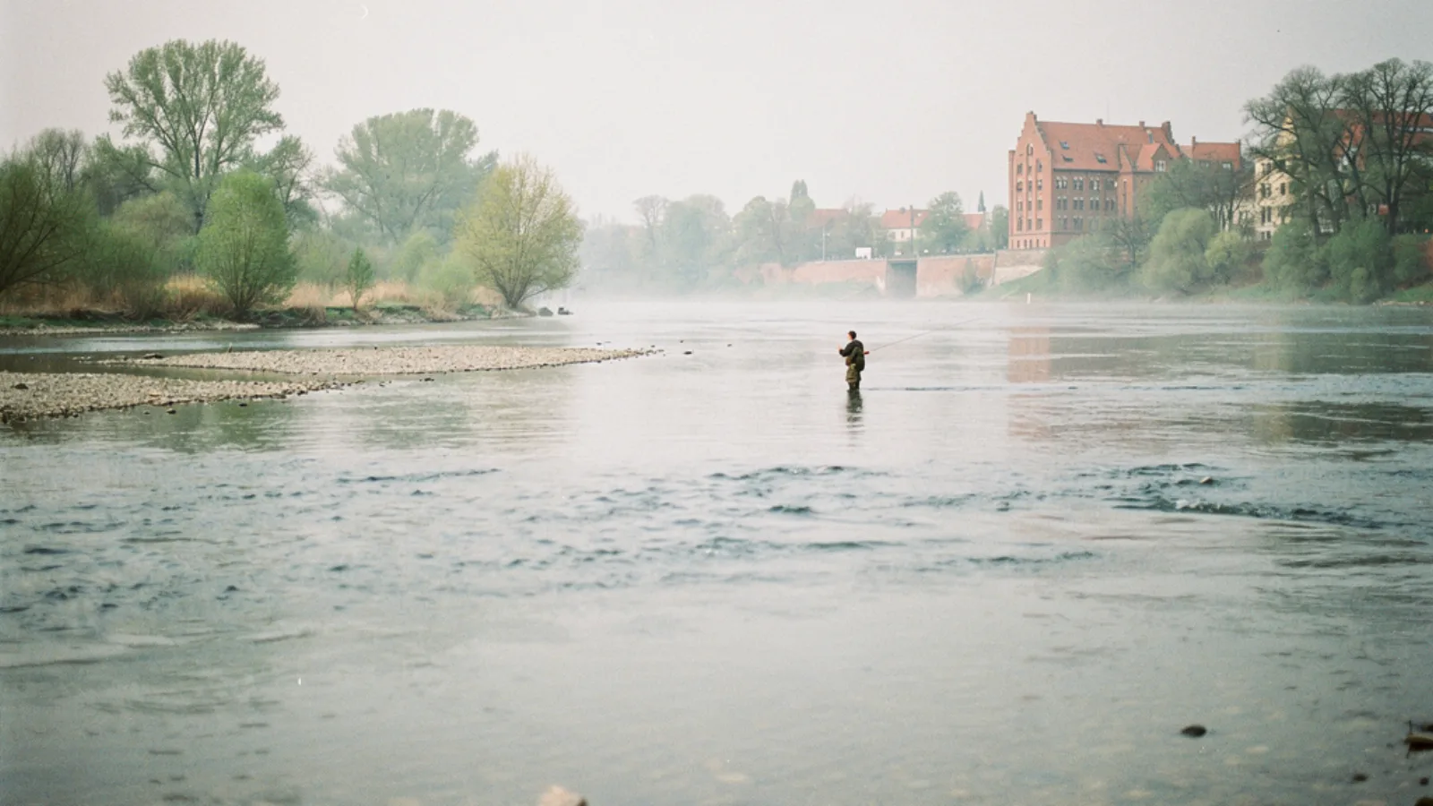 Vistula near Warsaw/Toruń: Pike