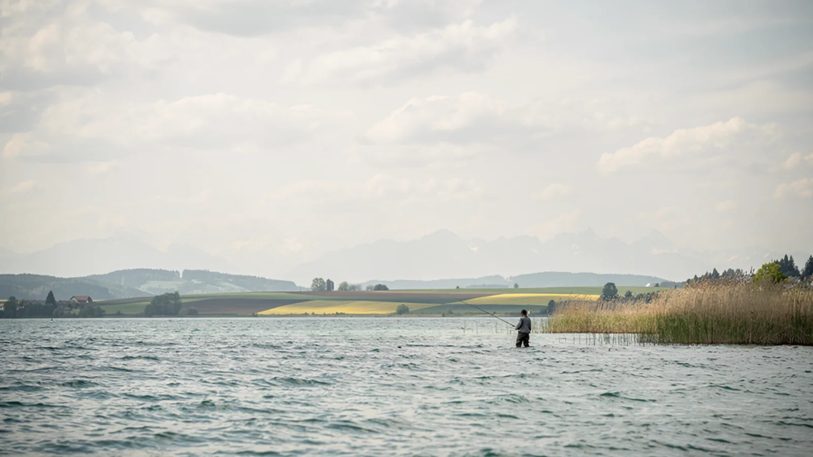 Bodensee