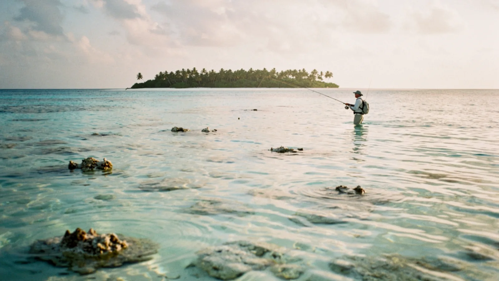 Alphonse Island