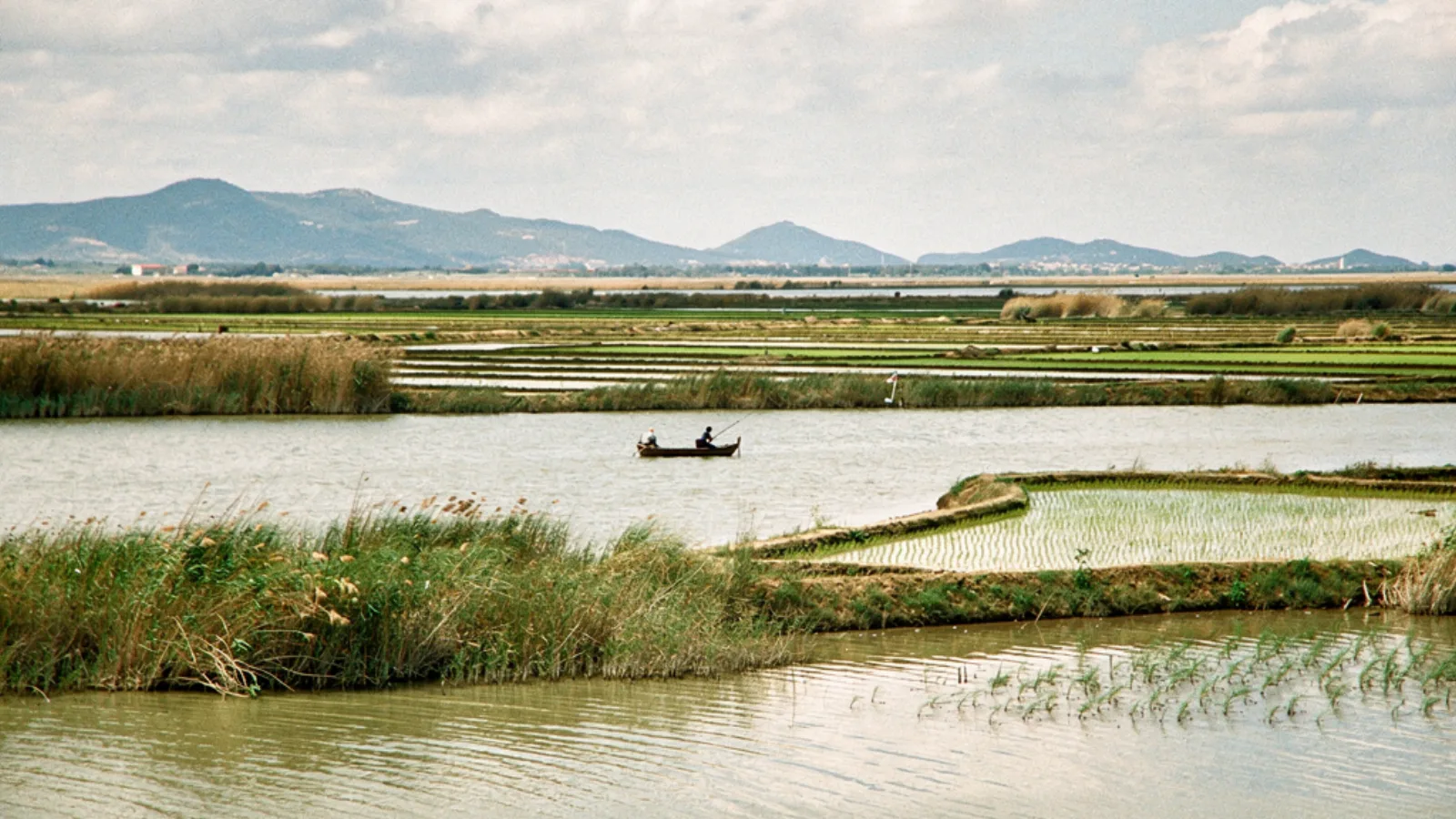 Delta Ebro