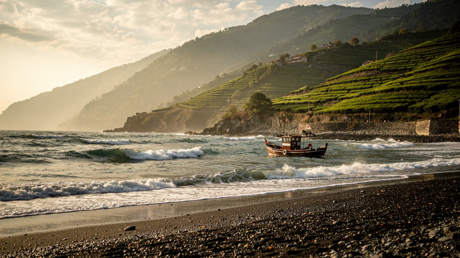 Black Sea Coast
