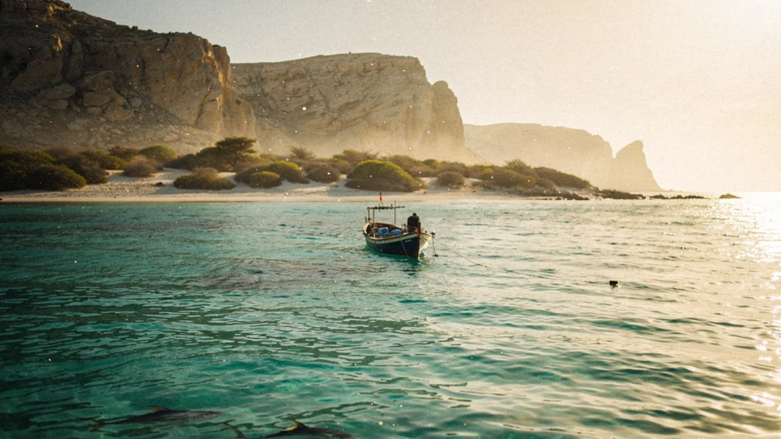 Sir Bani Yas Island