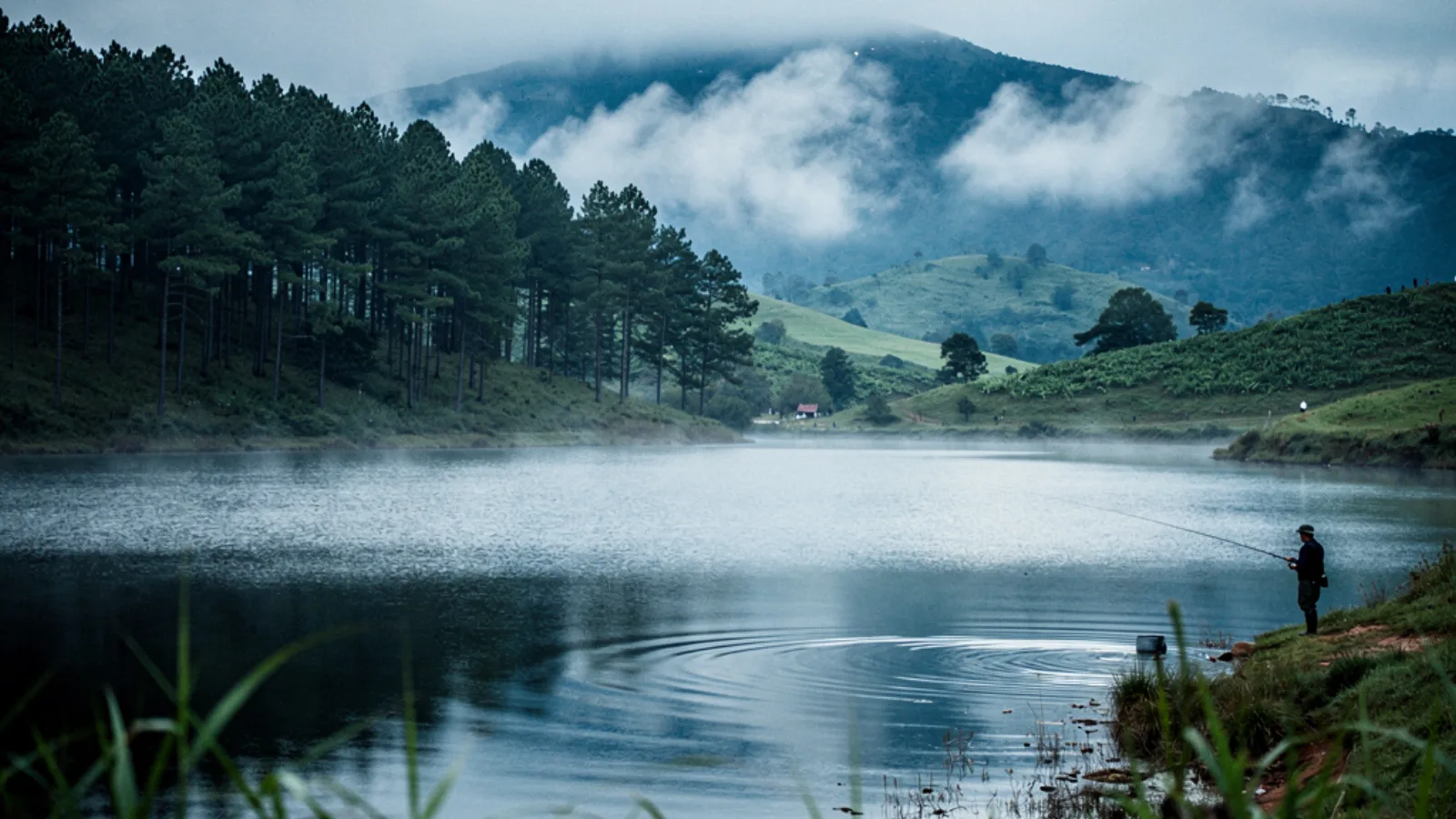 Hauts plateaux de Da Lat